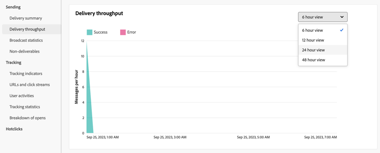 Screenshot of the delivery throughput