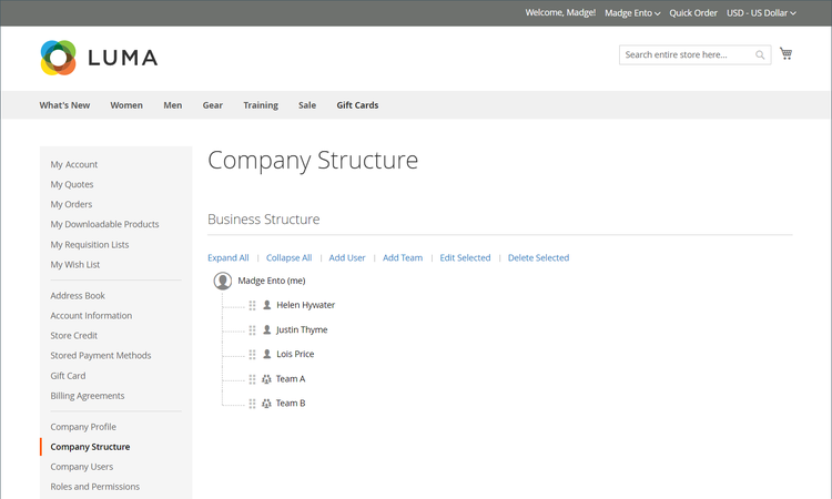 Company structure with users and teams