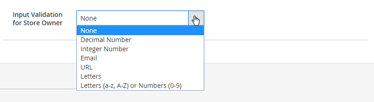 Input Validation