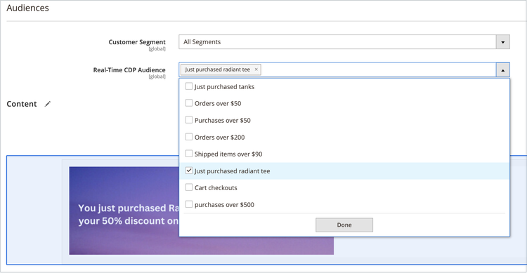 Choose a Real-Time CDP Audience