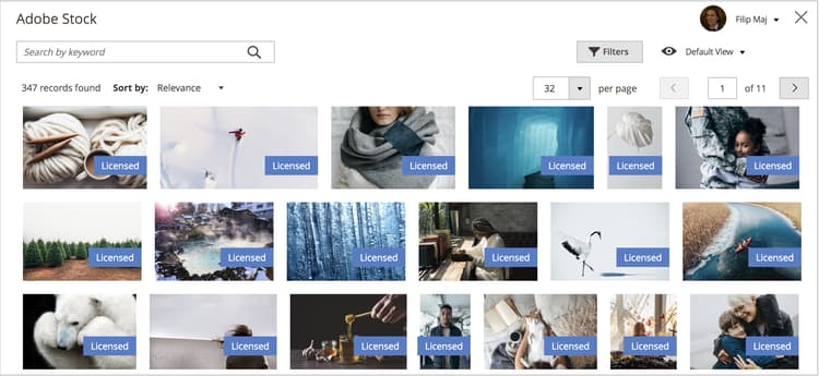 Adobe Stock search results with licensed images