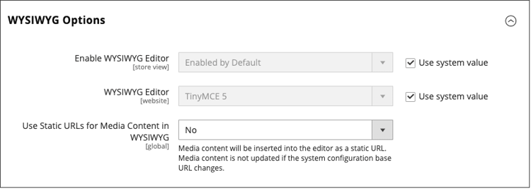 WYSIWYG Options