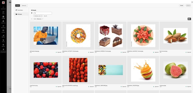 Asset Selector
