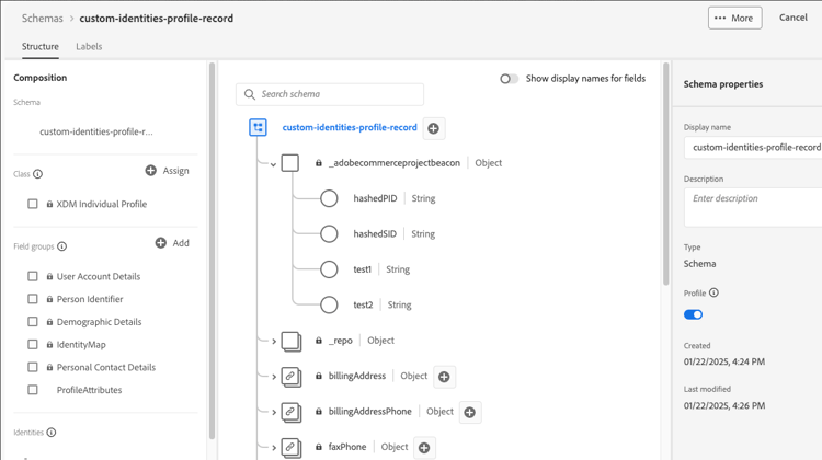 Experience Platform Schema Configuration