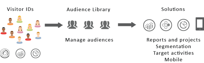 Experience Cloud audiences