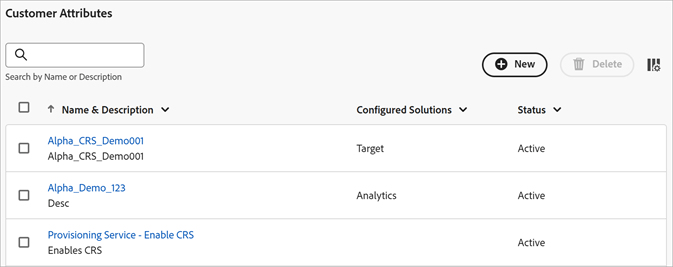 Customer Attributes page