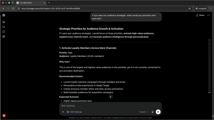 AI client giving prioritized audience strategy recommendations