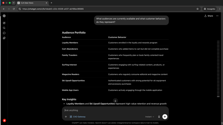 AI client listing available audiences and the customer behaviors they represent