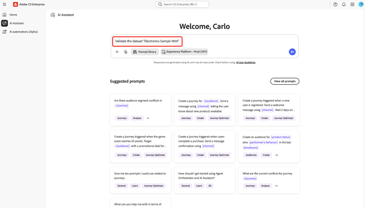 AI Assistant home with the prompt field showing a dataset validation request, Experience Platform environment selector, and Send control.