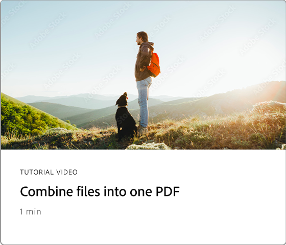 Combine files into one PDF