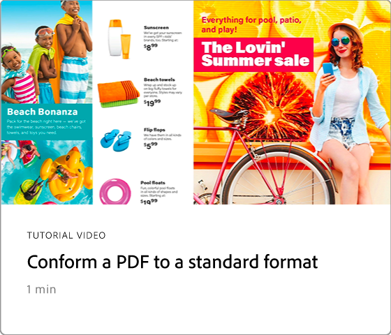 Conform a PDF to a standard format