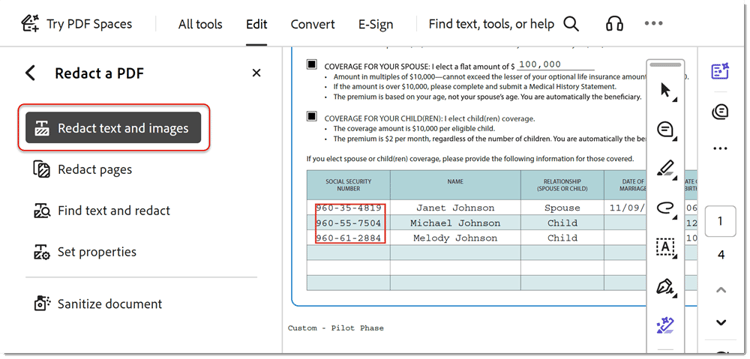 Redact Step 3