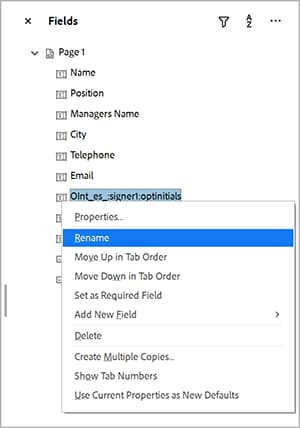 Rename in fields panel