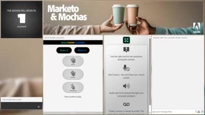 Marketo & Mochas - Auditing an Inherited or Current Instance