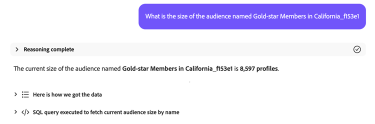 The AI Assistant states the current size of the audience that was asked about.