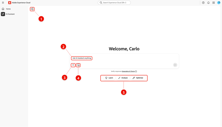 The AI Assistant in full-screen.