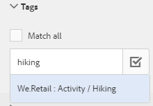 AEM-provided suggestion when typing name of tag