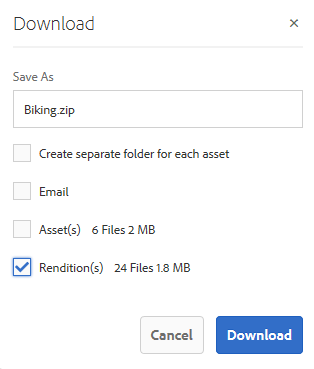 Available options when downloading assets from Experience Manager Assets