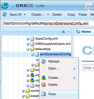 Copy acmExtensionsConfig.xml