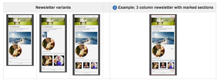 Variants of possible newsletters