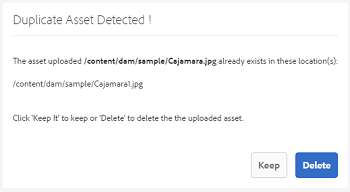 Duplicate Asset Detected dialog