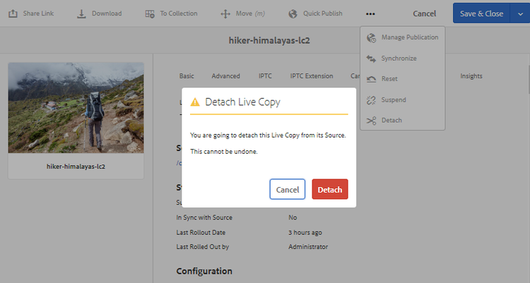 Detach action completely removes the relationship between source and live copy