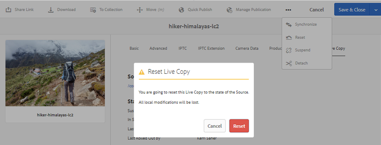 Reset action overwrites local edits and brings the live copy at part with its source.
