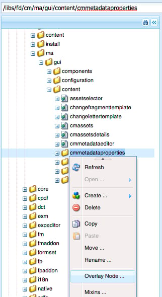 Overlay node