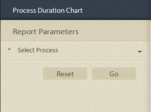 long running processes report parameters panel