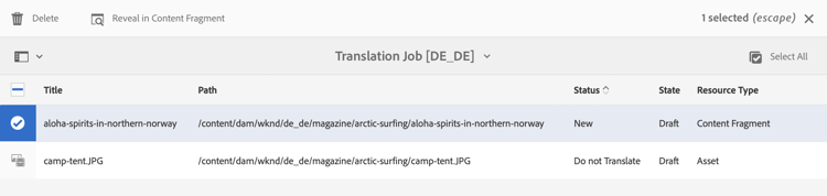 Translation Job options