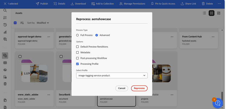 Reprocess assets tab