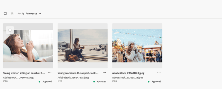 Semantic Search in Assets view