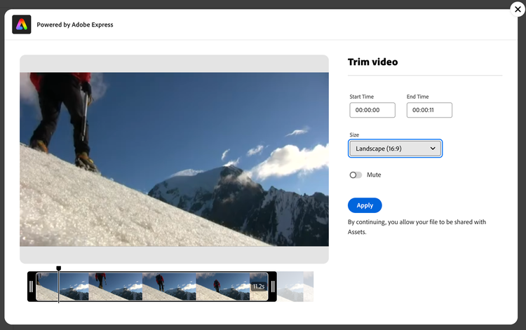 Video resizing with Adobe Express