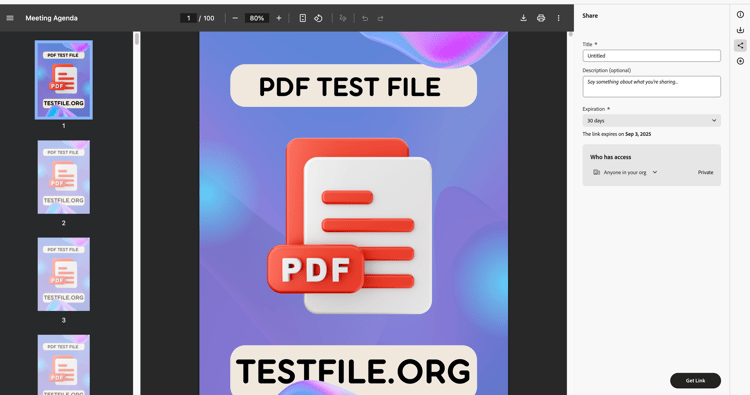share asset while previewing it