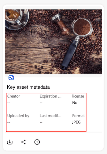 key metadata on Asset Card
