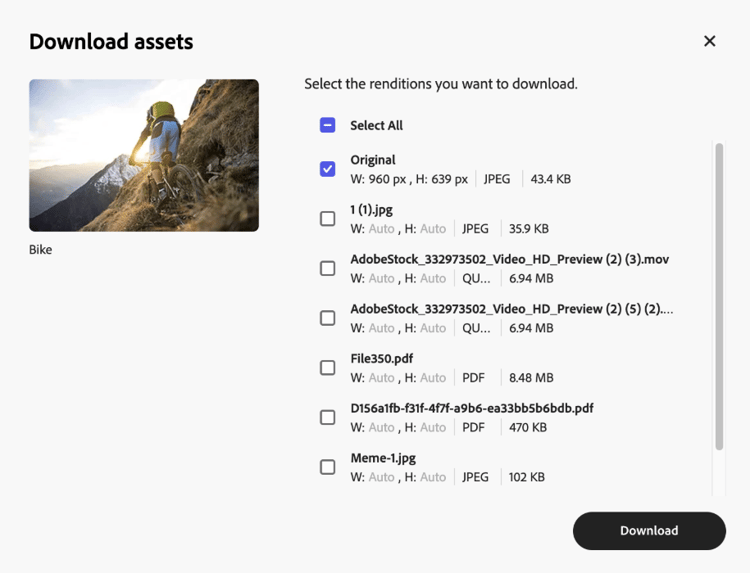 Download single asset renditions
