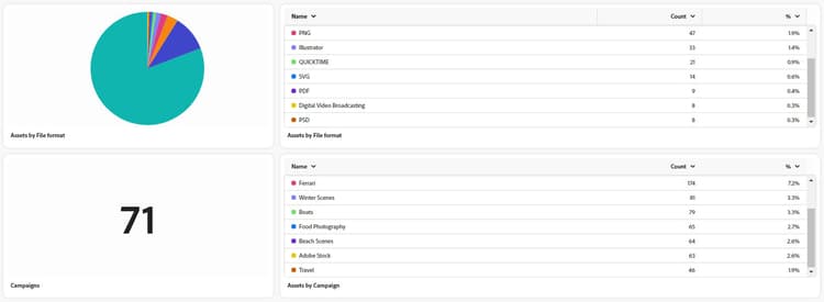 Asset count by asset type statistics