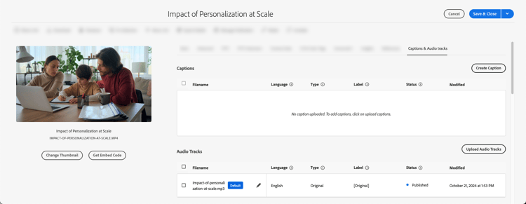 Captions and Audio Tracks tab on the Properties page.