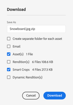 Available options when downloading assets from Experience Manager Assets