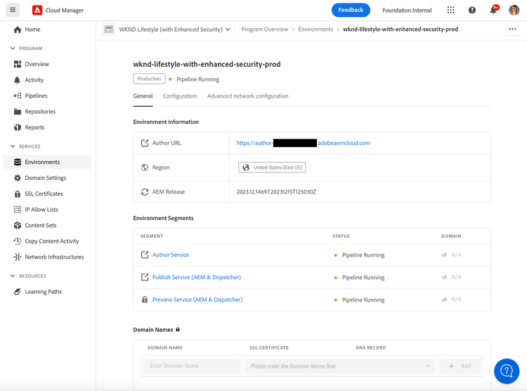 Entering domain name on the Environment Details page