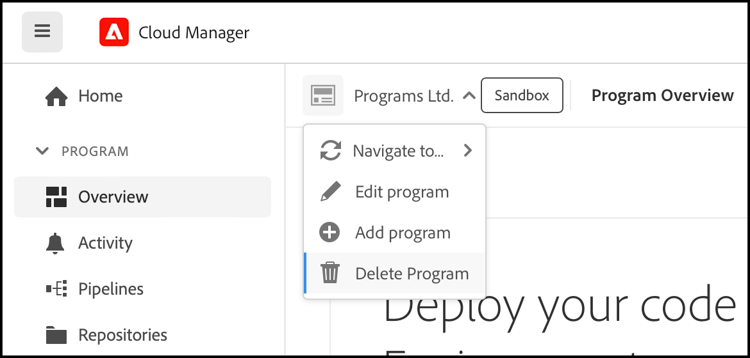 Delete program option