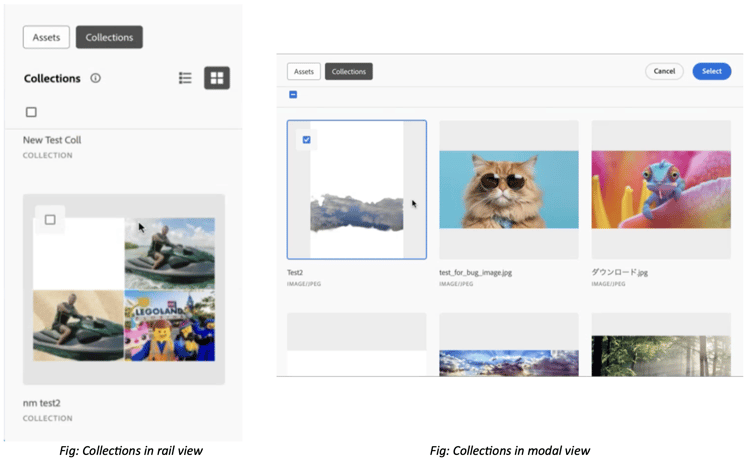 Asset selector collections