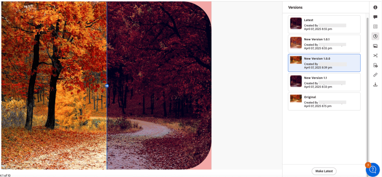 compare versions of asset