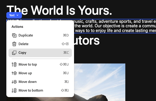 Copy from context menu