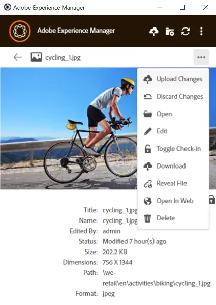 Upload changes option when viewing a large preview of an asset