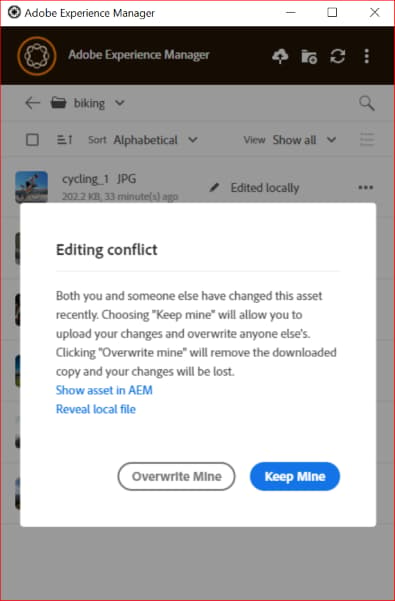 Options to resolve an editing conflict