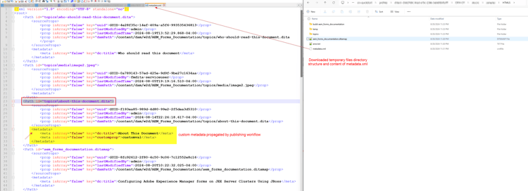 metadata.xml structure and constructs