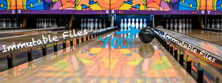 Shows a bowling lane with a ball rolling down the lane. The ball has an arrow with the word showing you. The gutter bumpers are raised and they have the words immutable files above them.