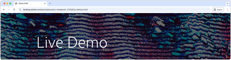 AEM Assets Dynamic Media live demo