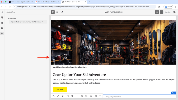 Author Experience Fragment